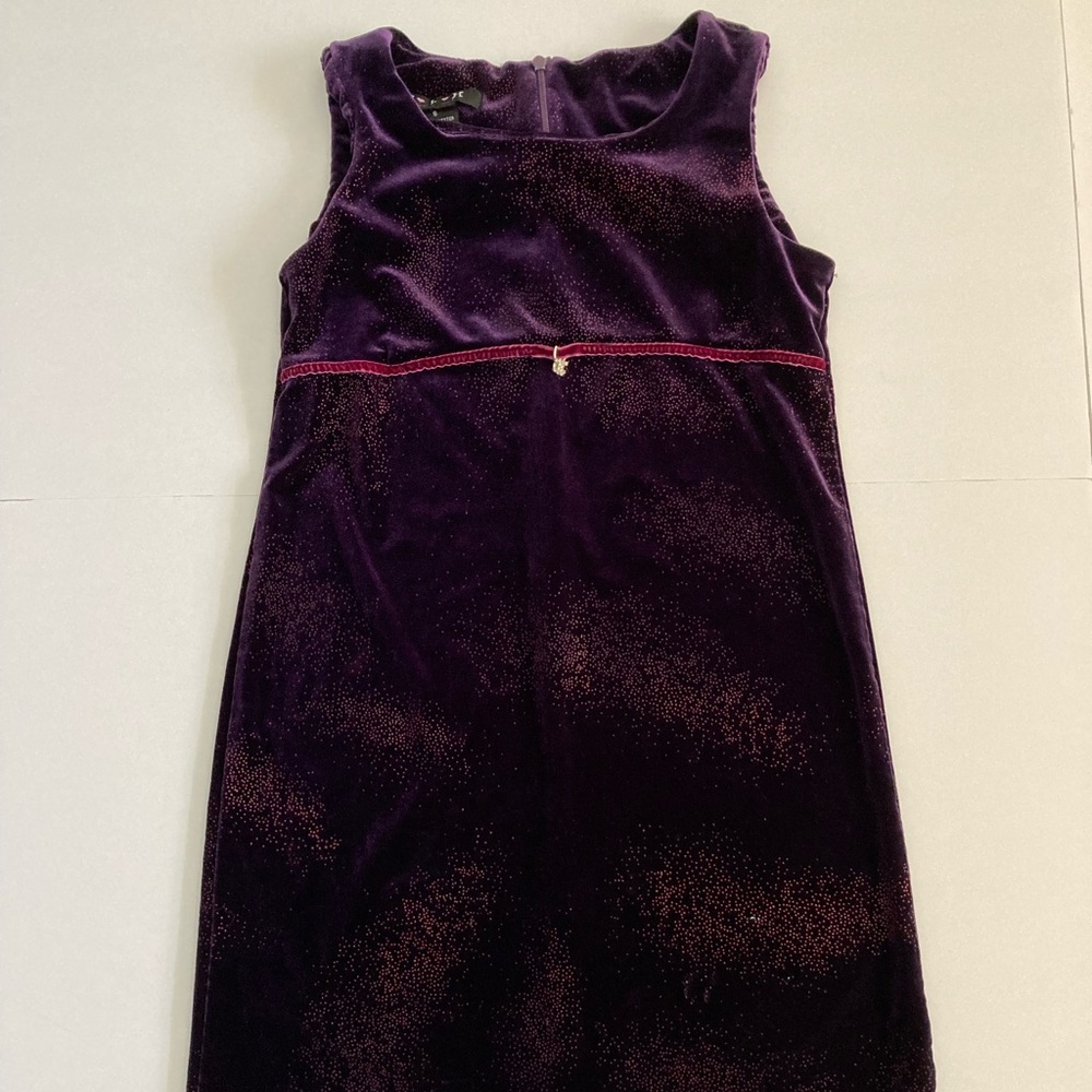 TLH Sleeveless Purple Velvet Dress Size 8